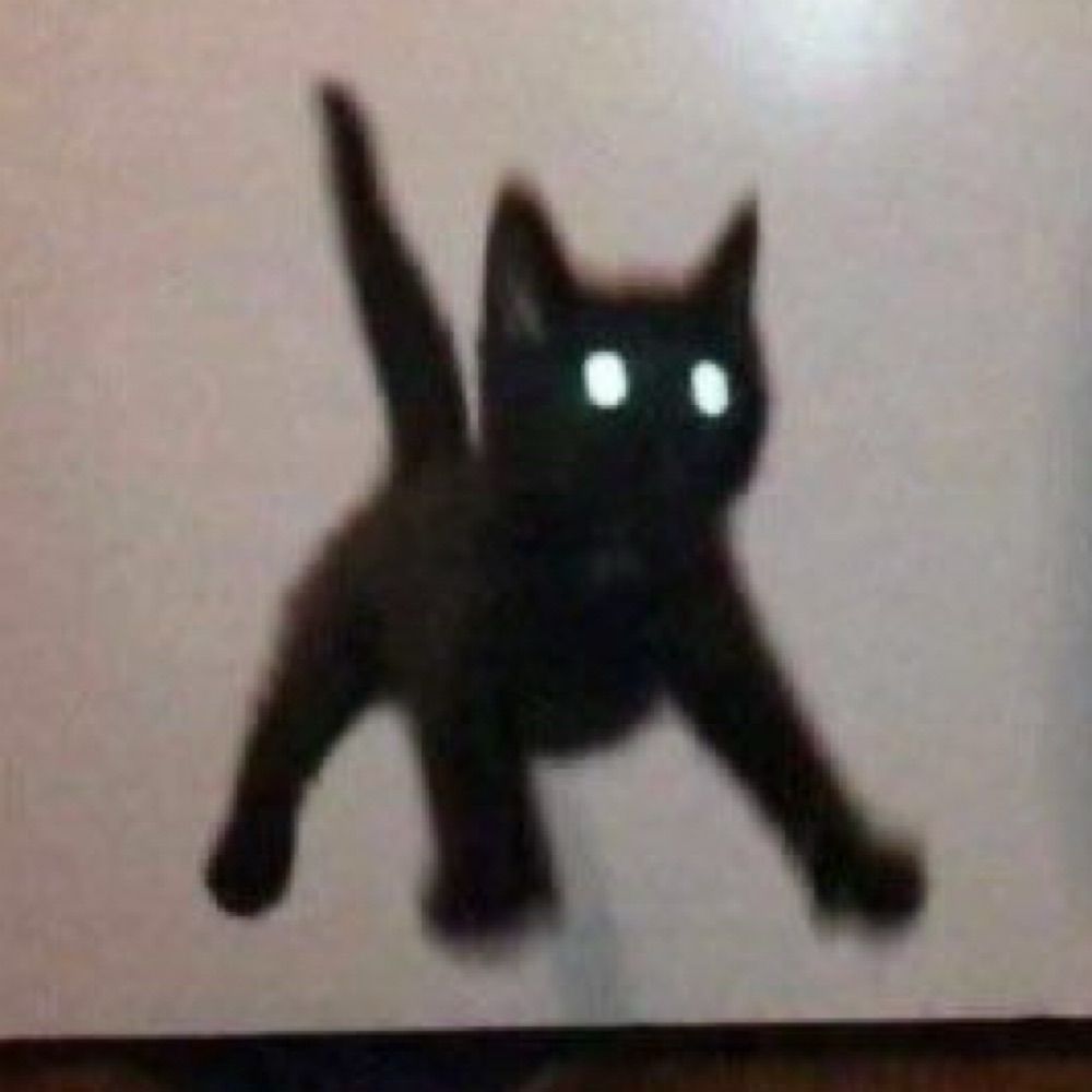 념