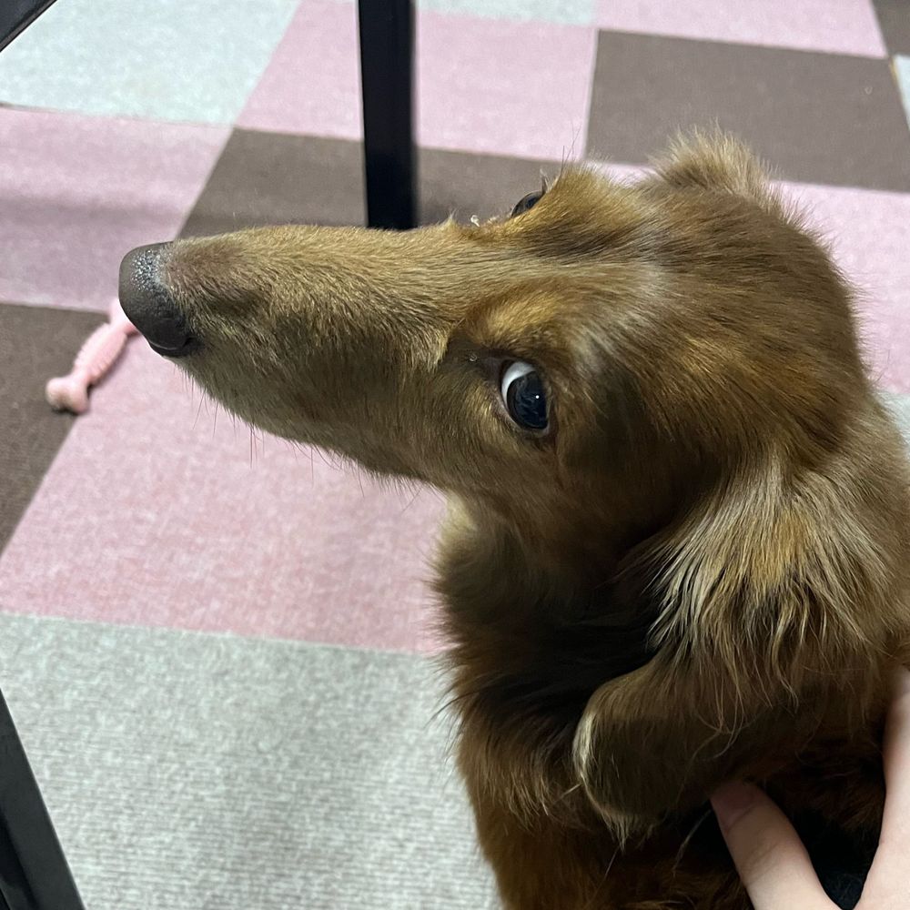養ﾃ