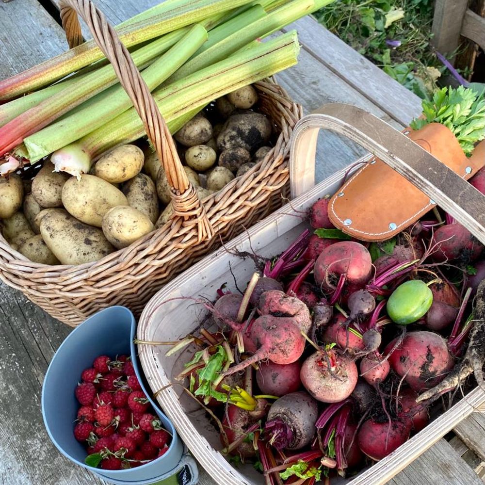 Allotment life