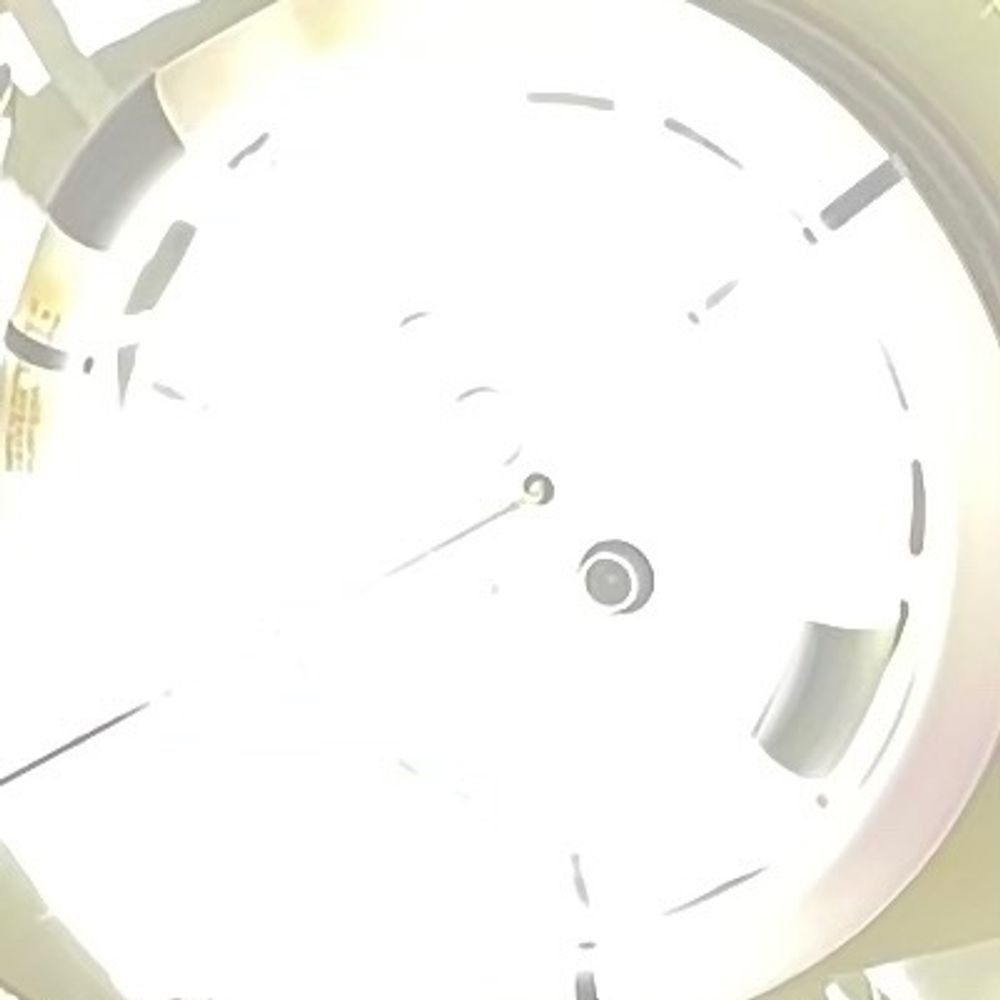 身体髪膚