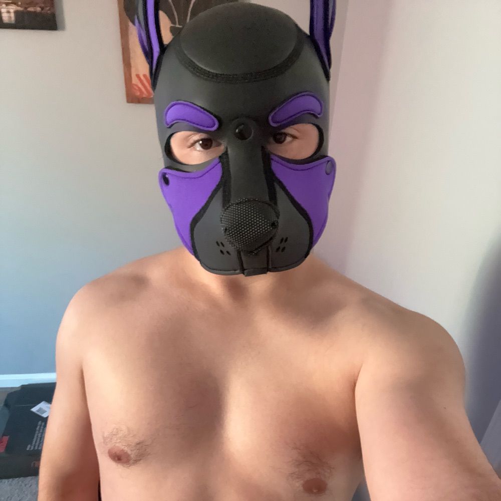 Pup Aster 💜