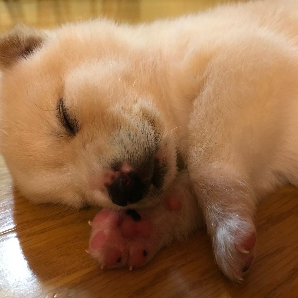 ぬるお
