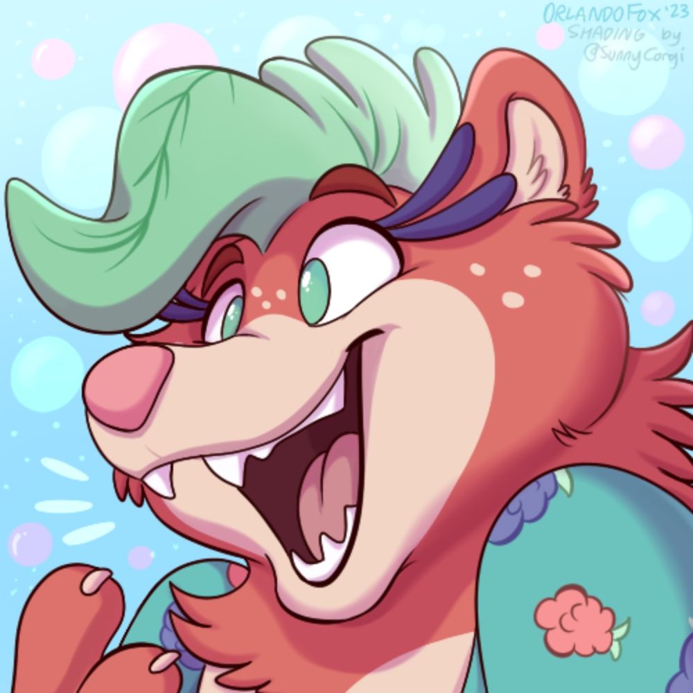 Beary Splash