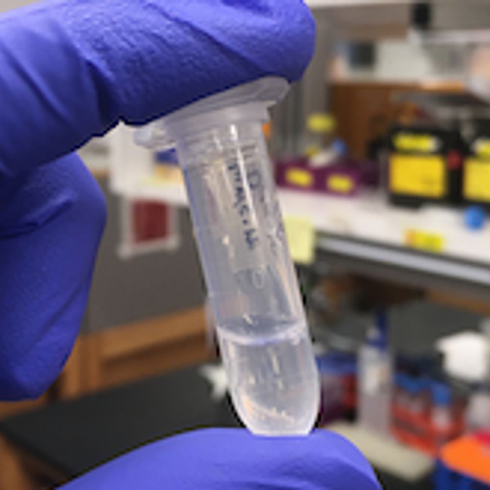 Harvard Med BCMP