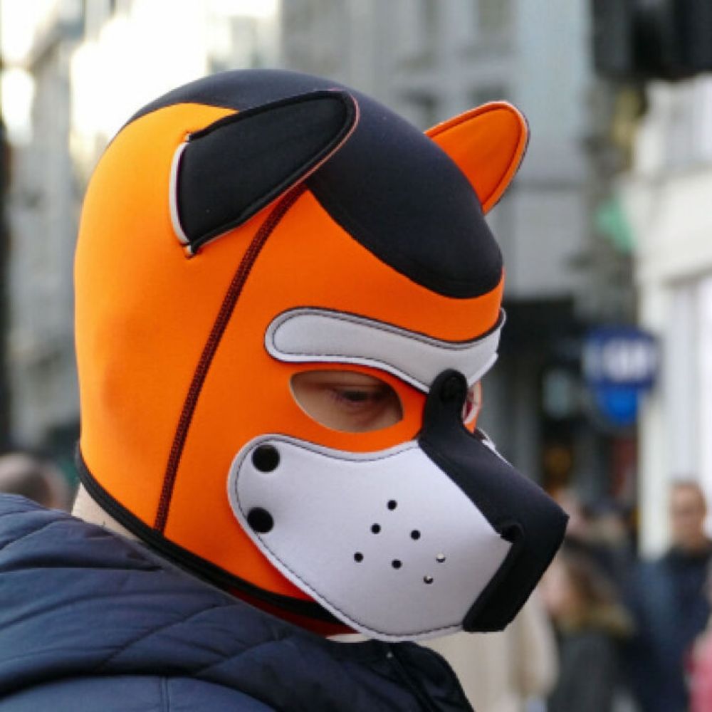 PupWillz