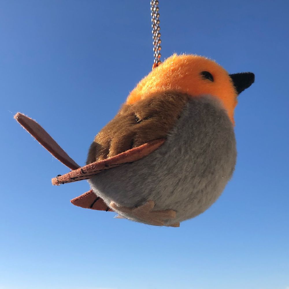 こまどり