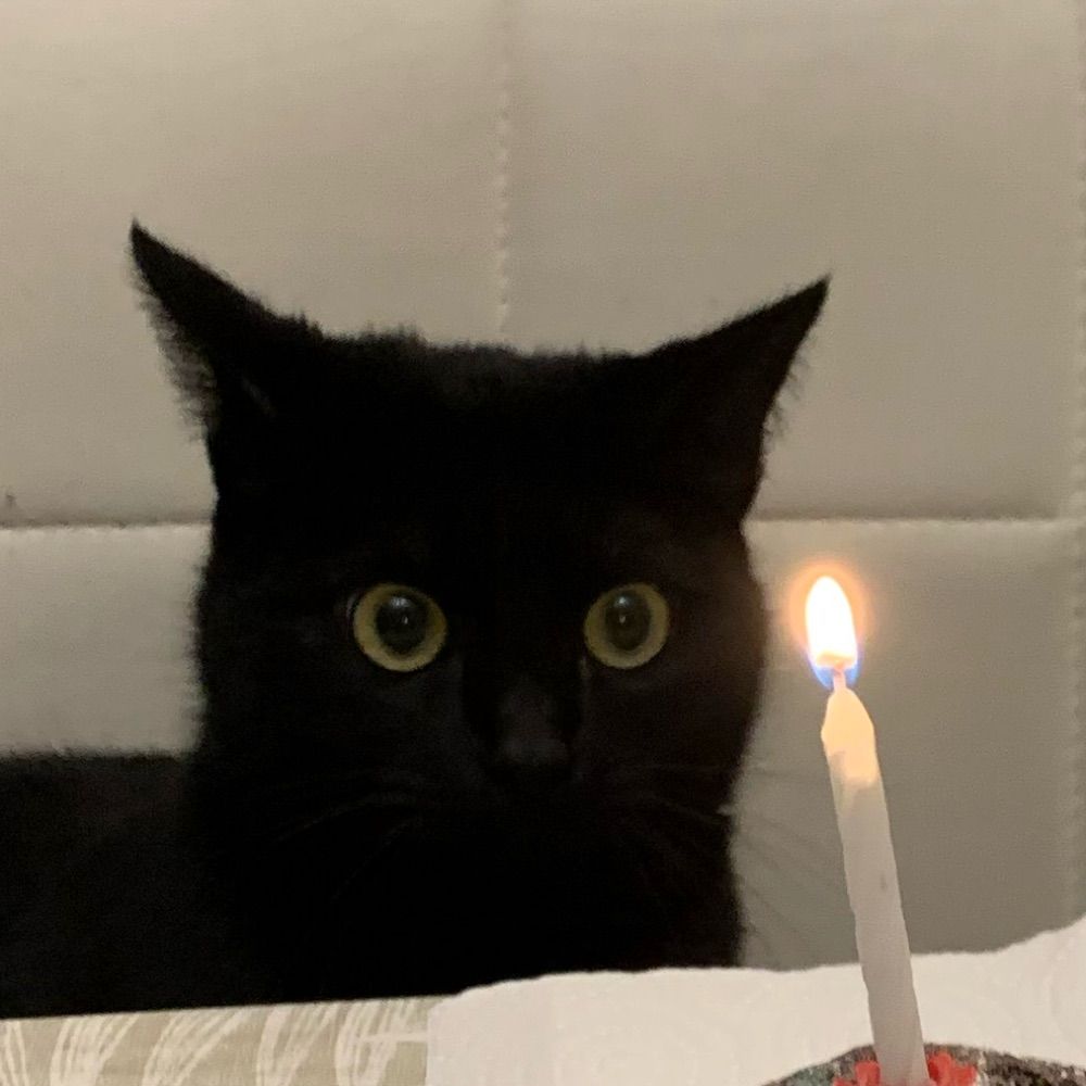 Frankie