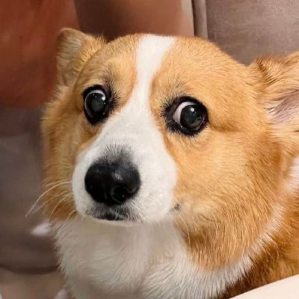 ヒラギノ明朝