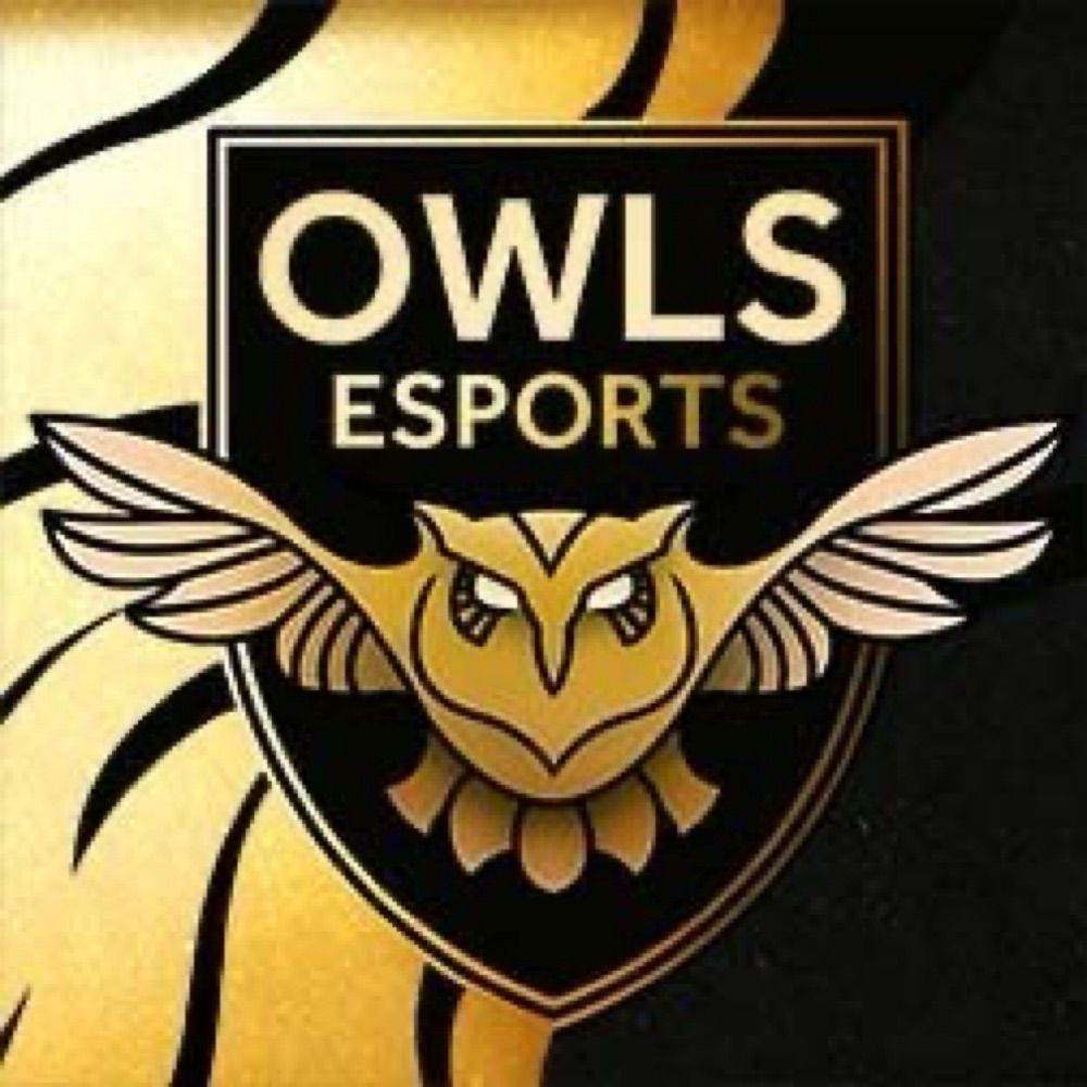 OWLS Esports- SWFC