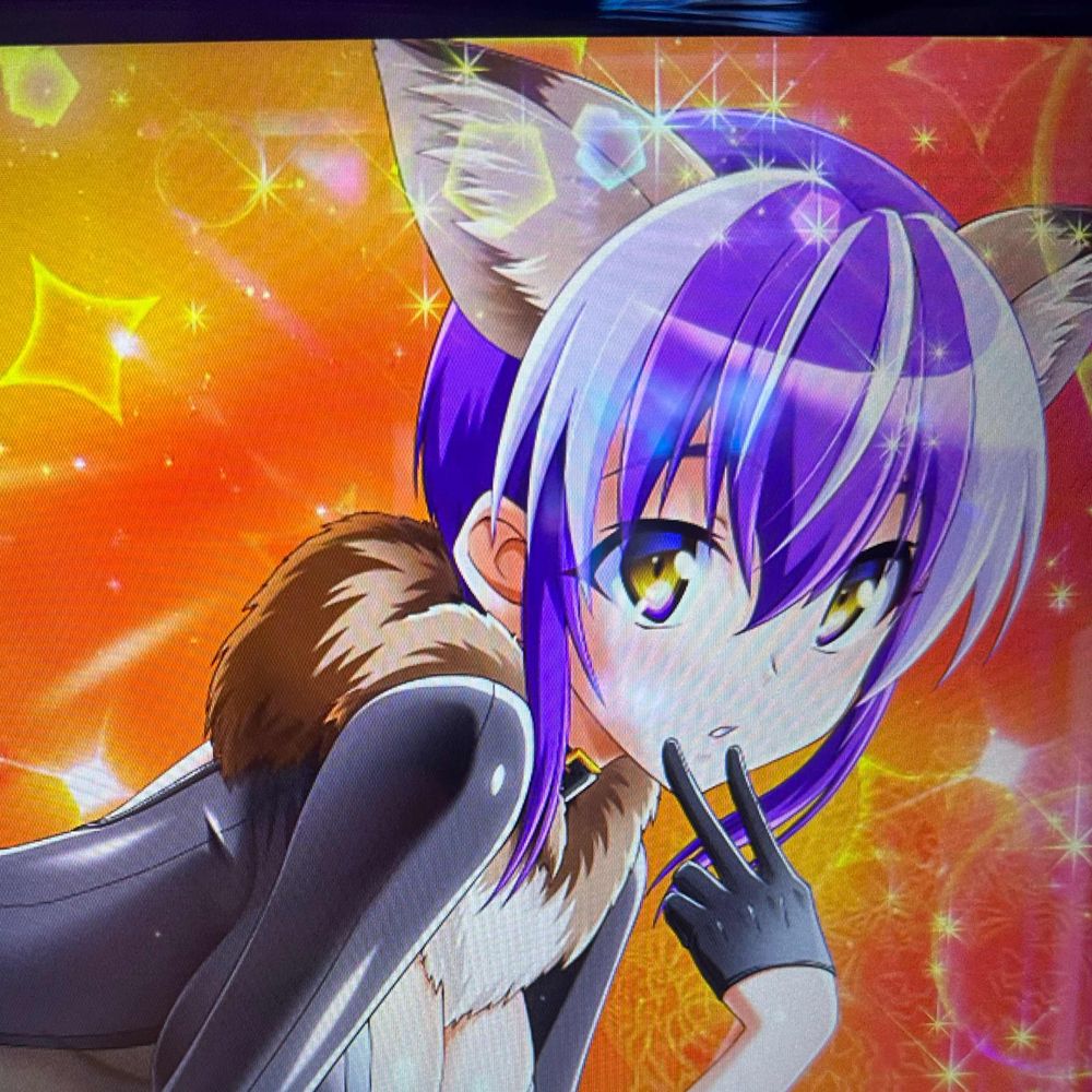 キングカボテレサ🎃