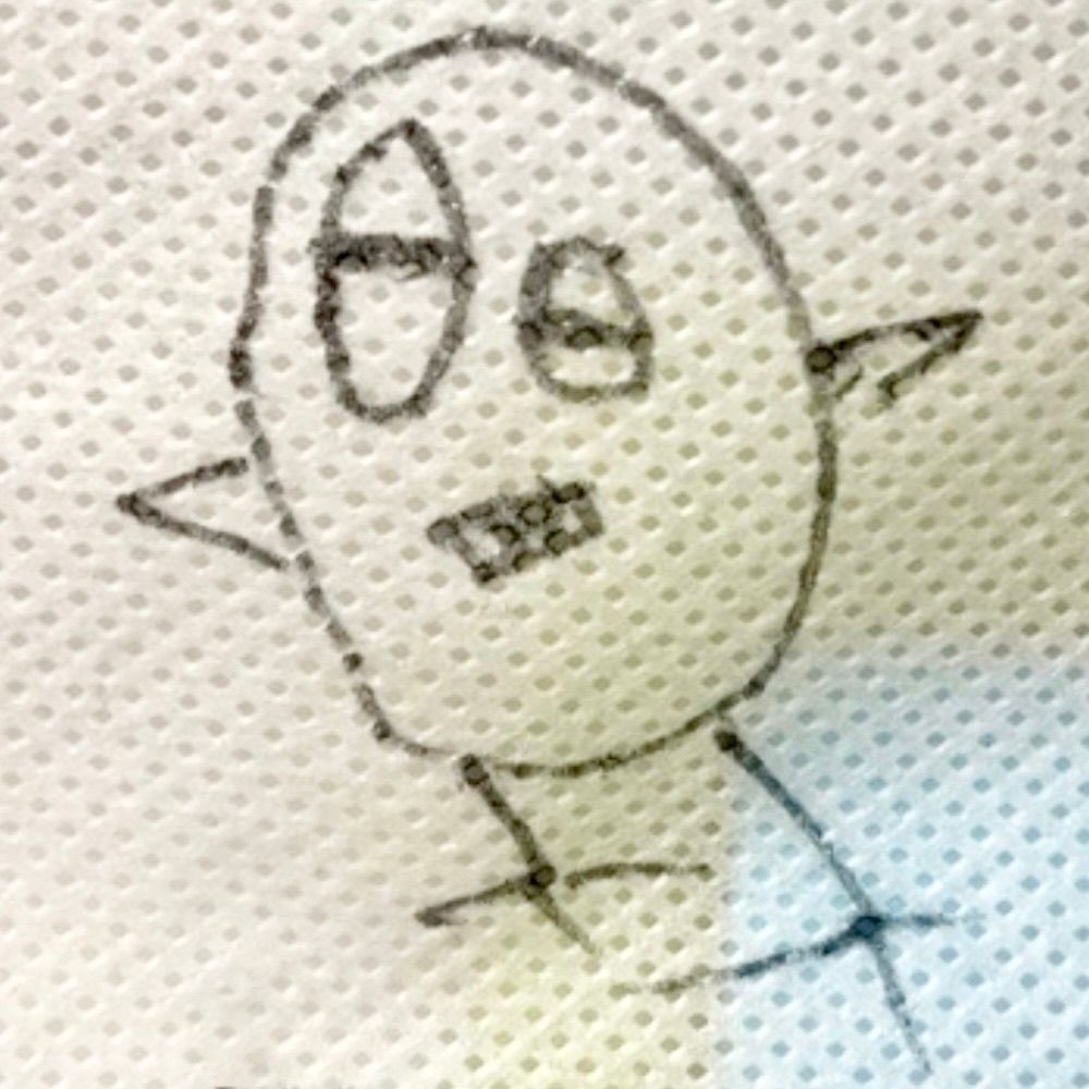 沙柳