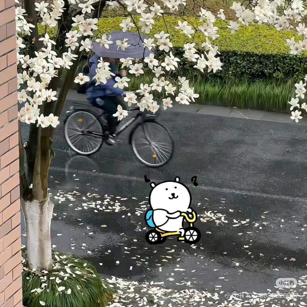 小朱