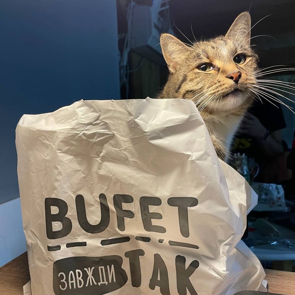 Kyrylo(@blia)