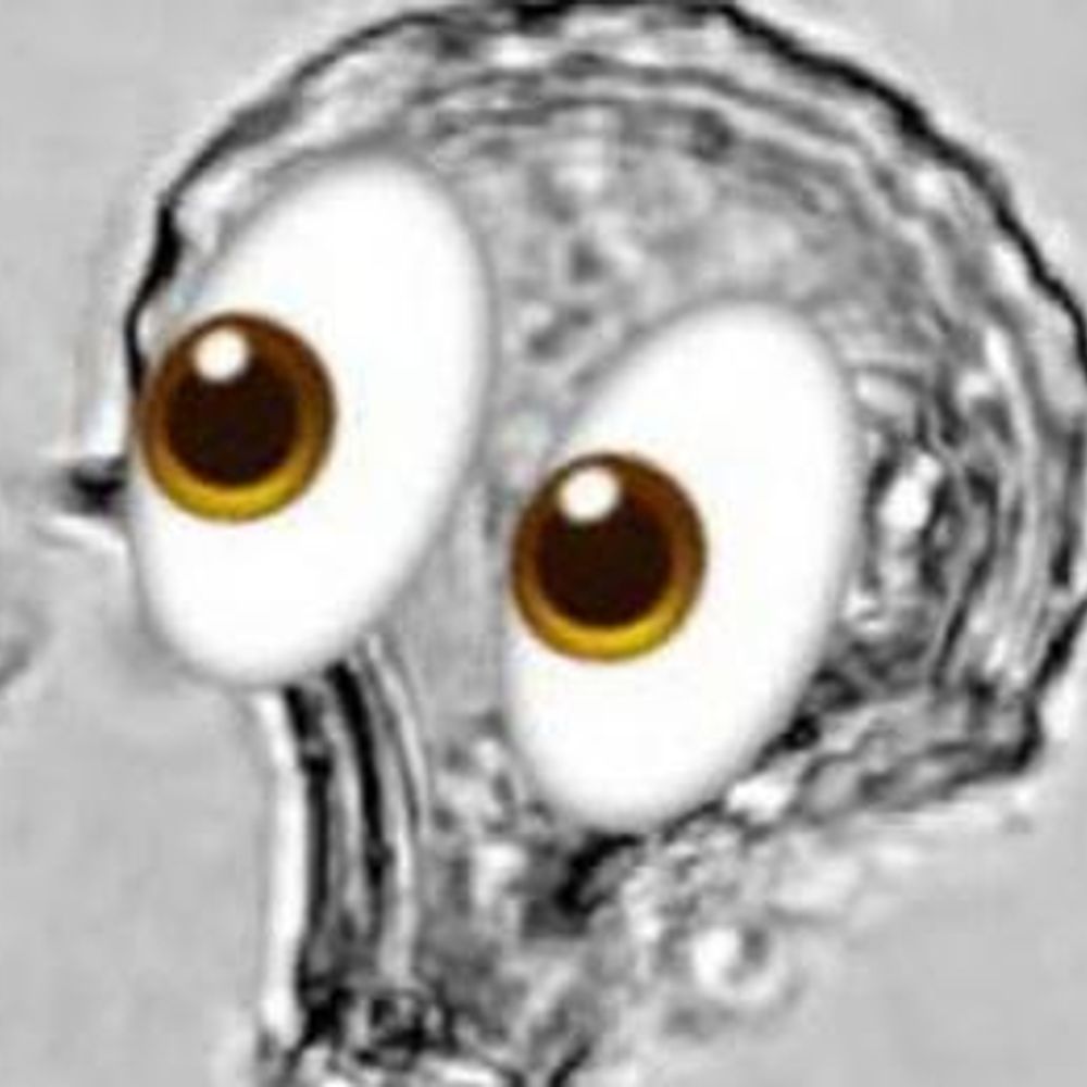 Open Phytoliths Community