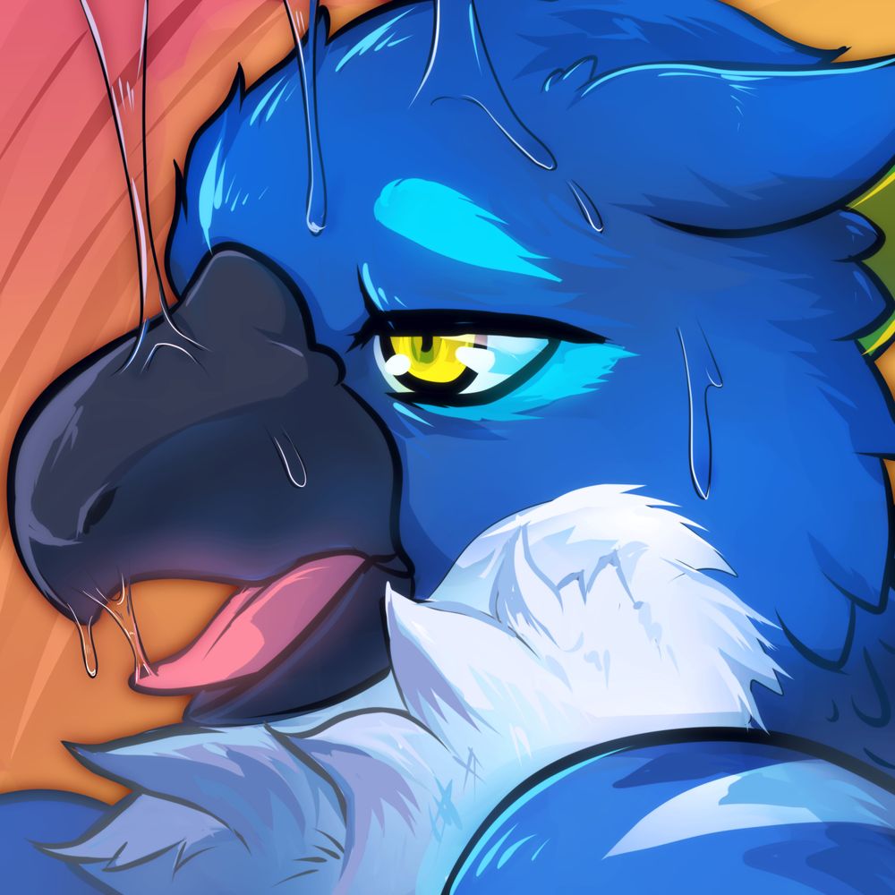 Sair the Birb