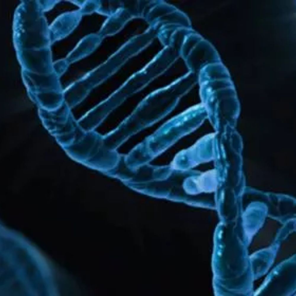 Mechanics of Life Leverhulme Doctoral Scholarship Programme