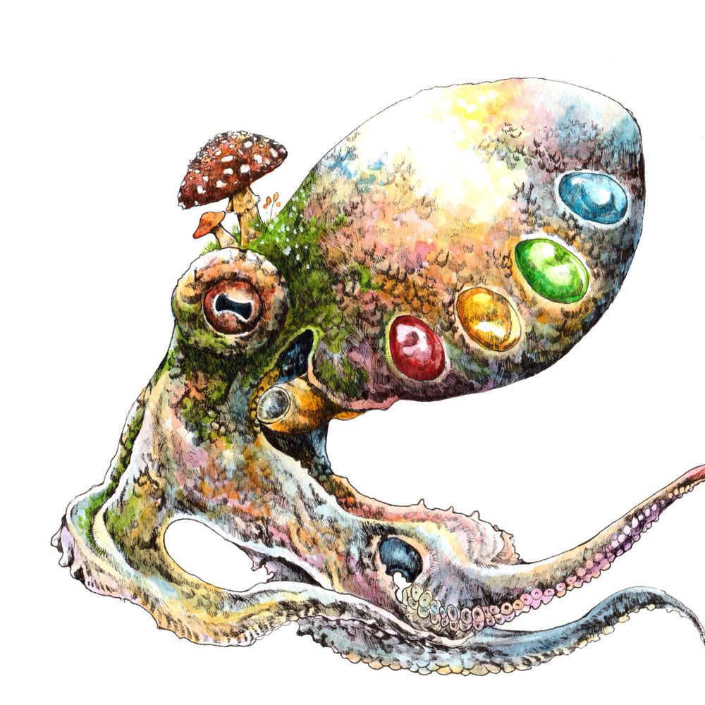 マツダケン