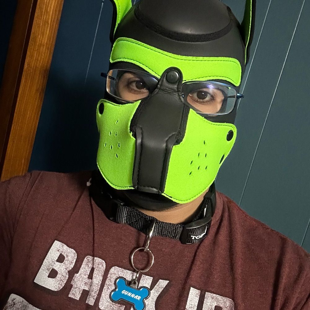 Pup Gunnar