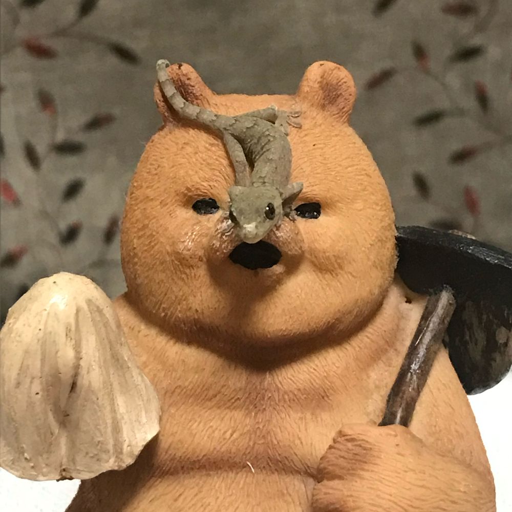 龍