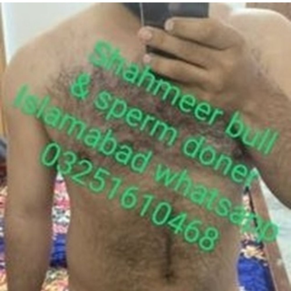 Shahmeer bull Islamabad