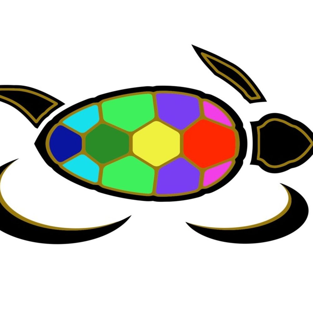 ridelikeaturtle.bsky.social profile picture