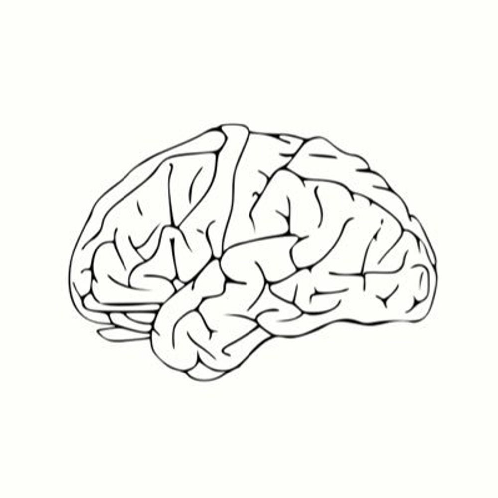 Neurotargeting-UiB