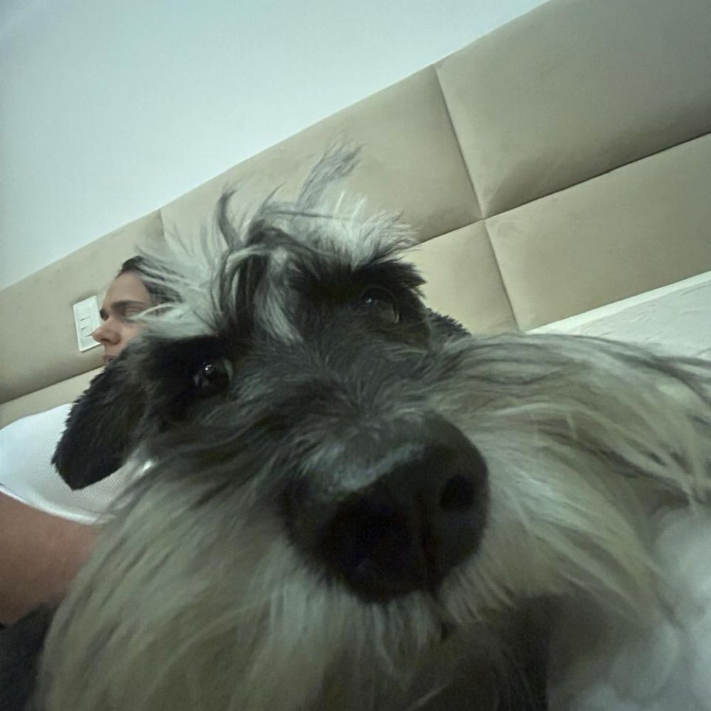 dandanaugusto