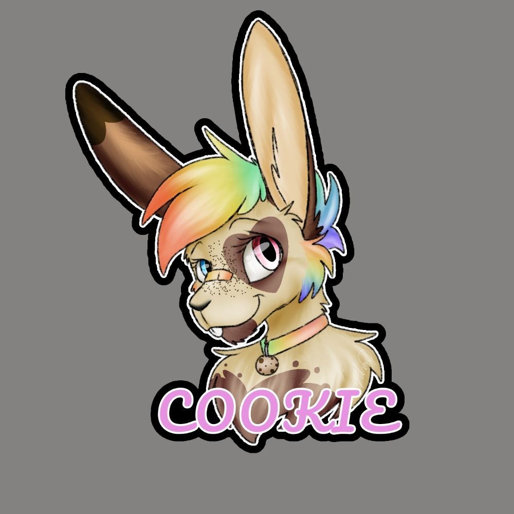 Cookie 🍪 🔜 CFZ