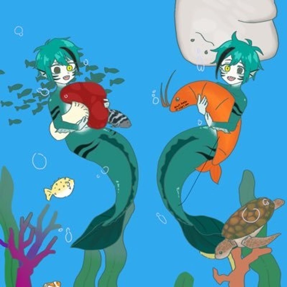 루시드