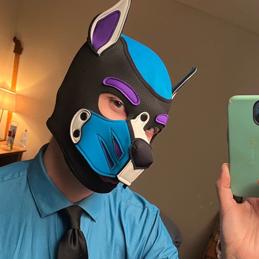 Keevee Pup