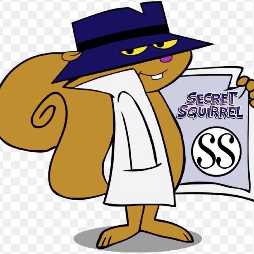 Squirrel 🫘