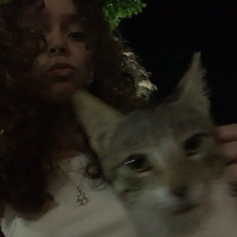 maaby