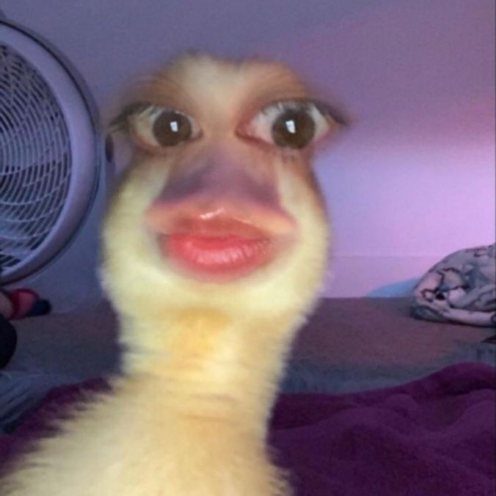 patodavida