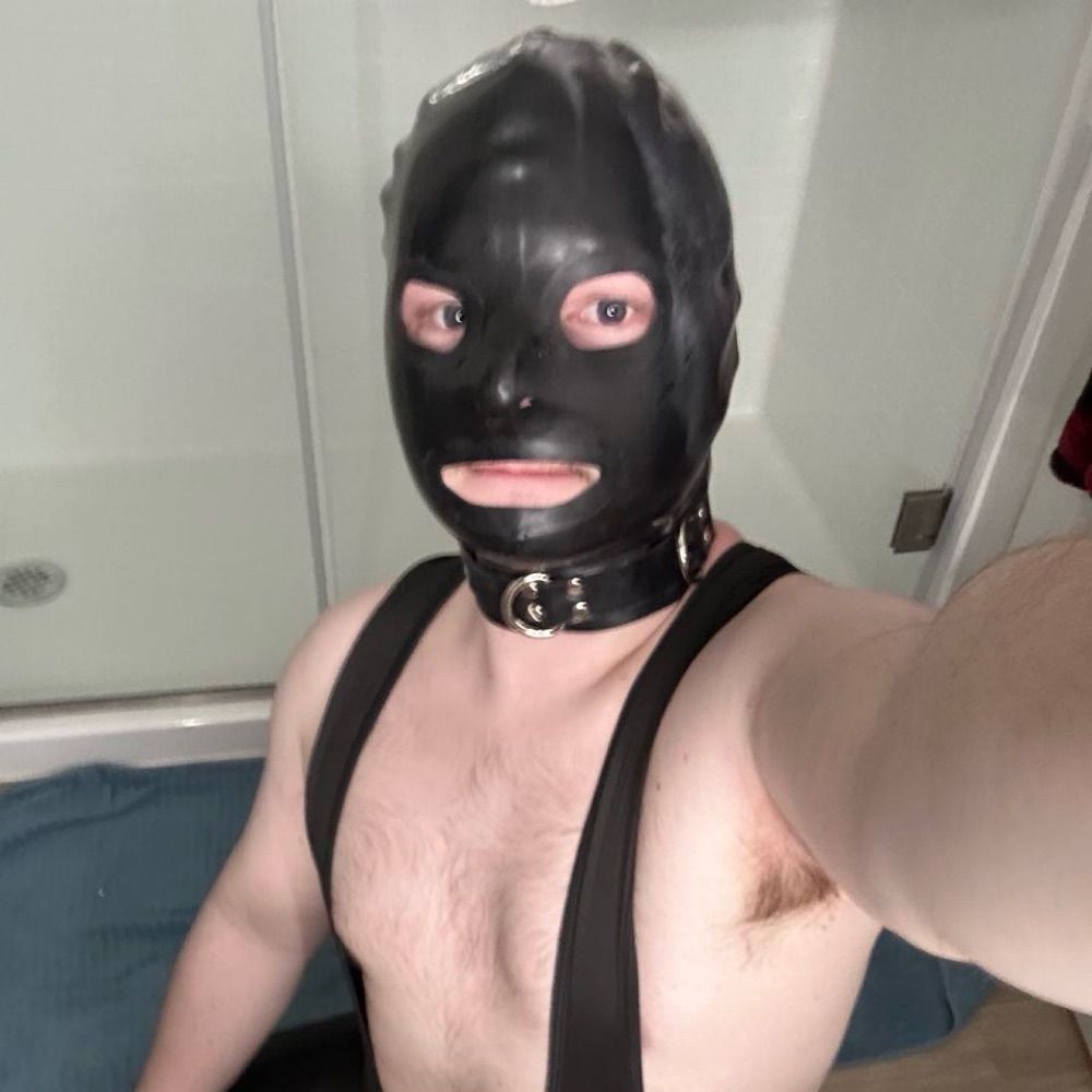 subHachi