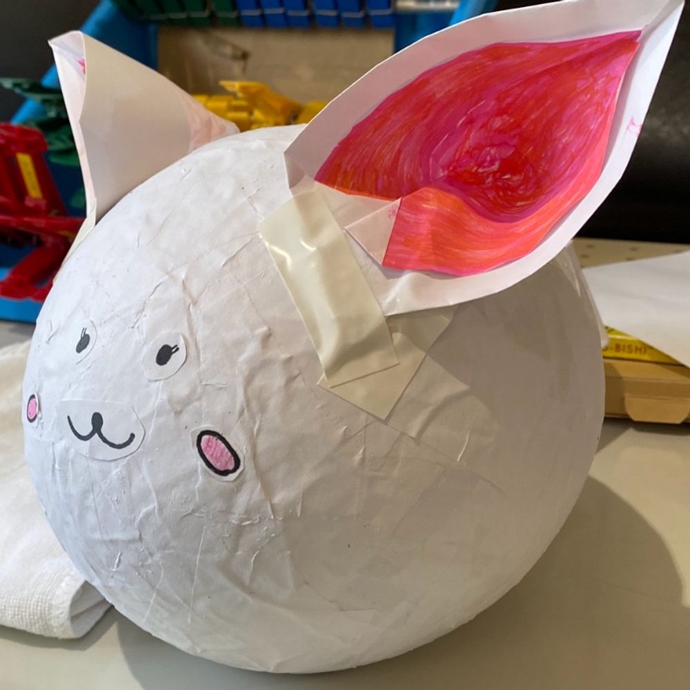 兎猫