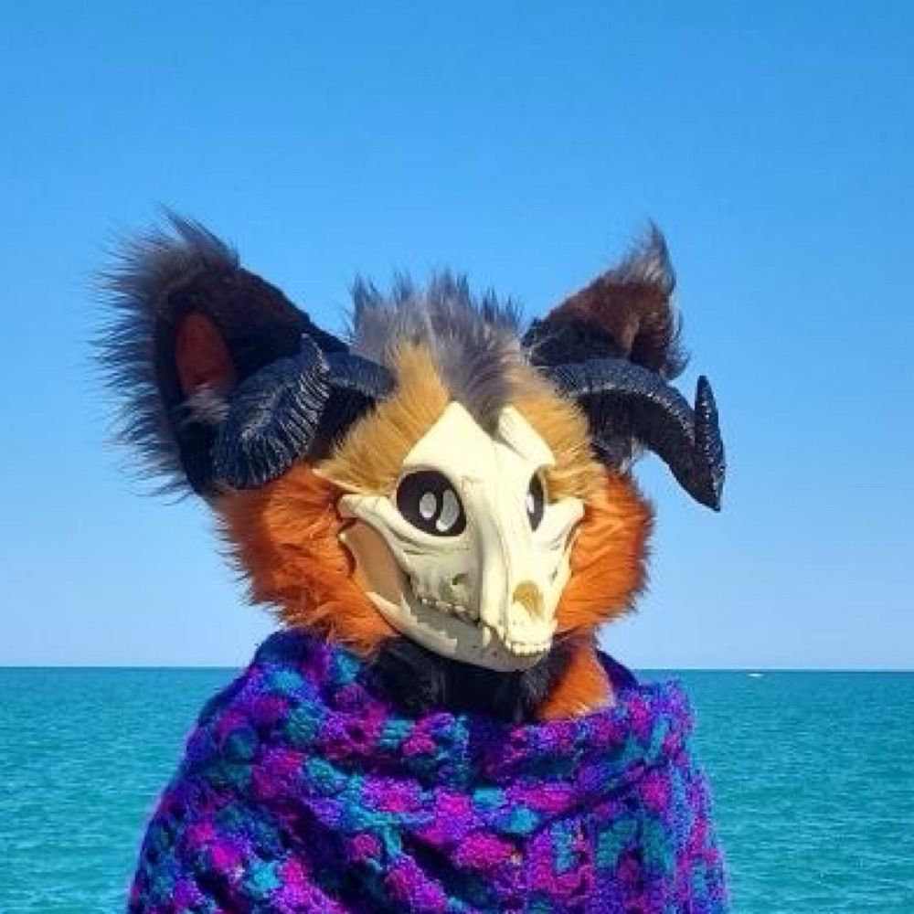 Coyote