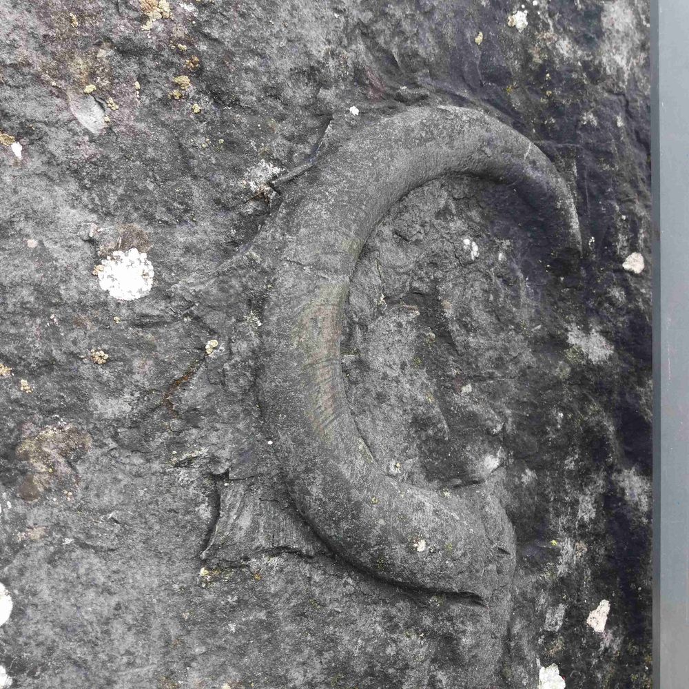 Galway Geological Assoc (GGA)