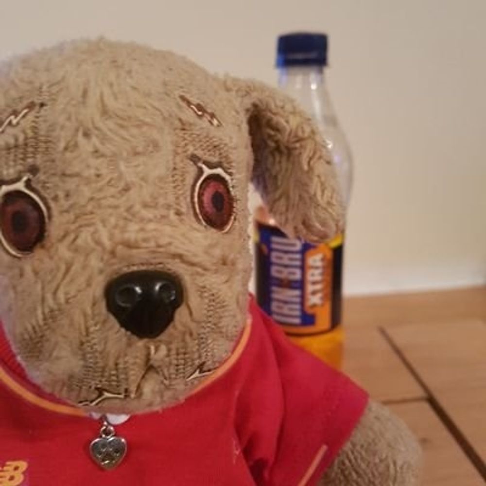 Sir Scamp