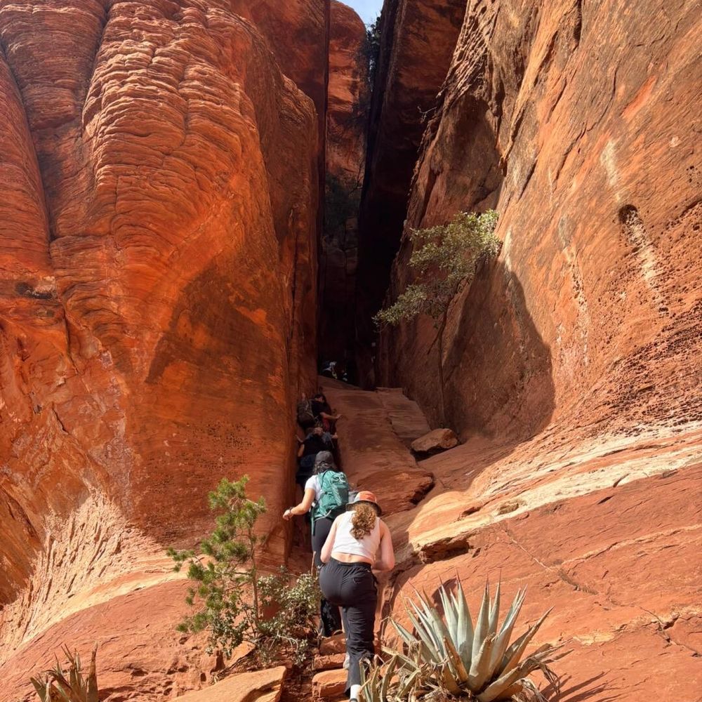 Hikers