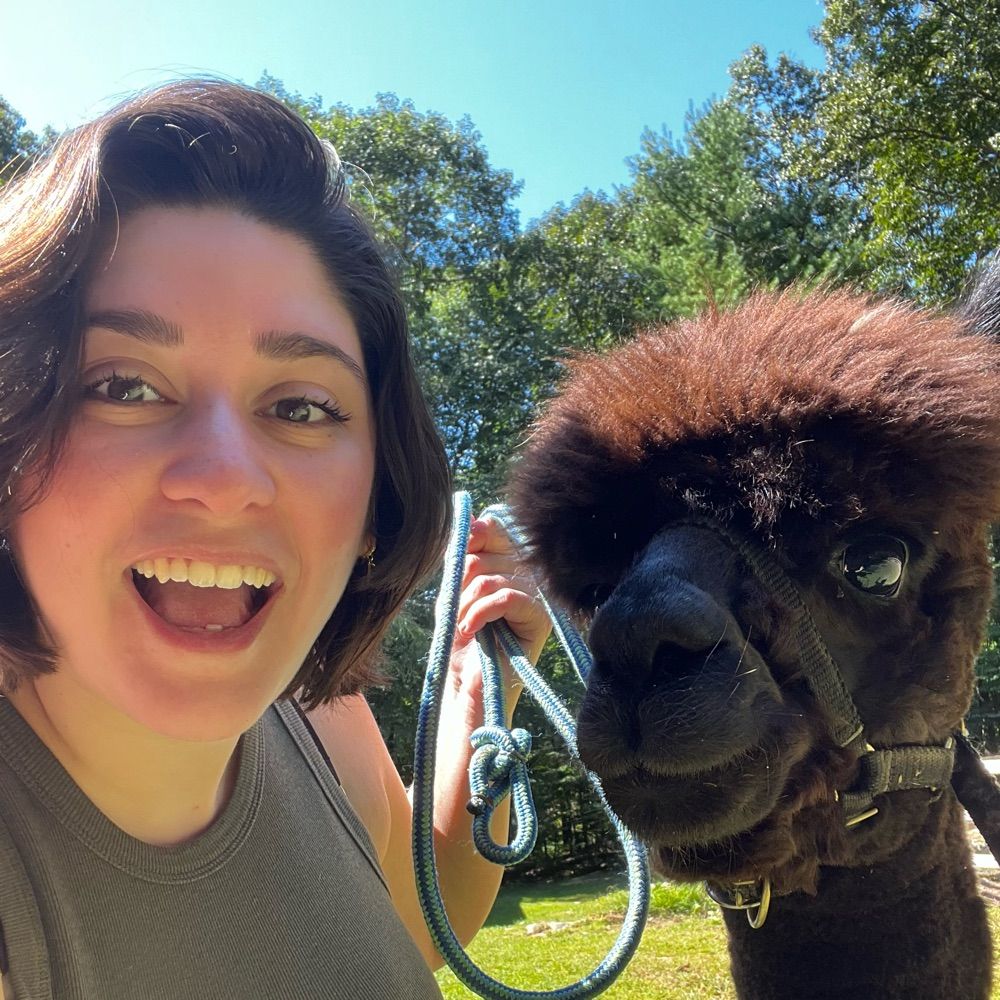 Sarah Wolman