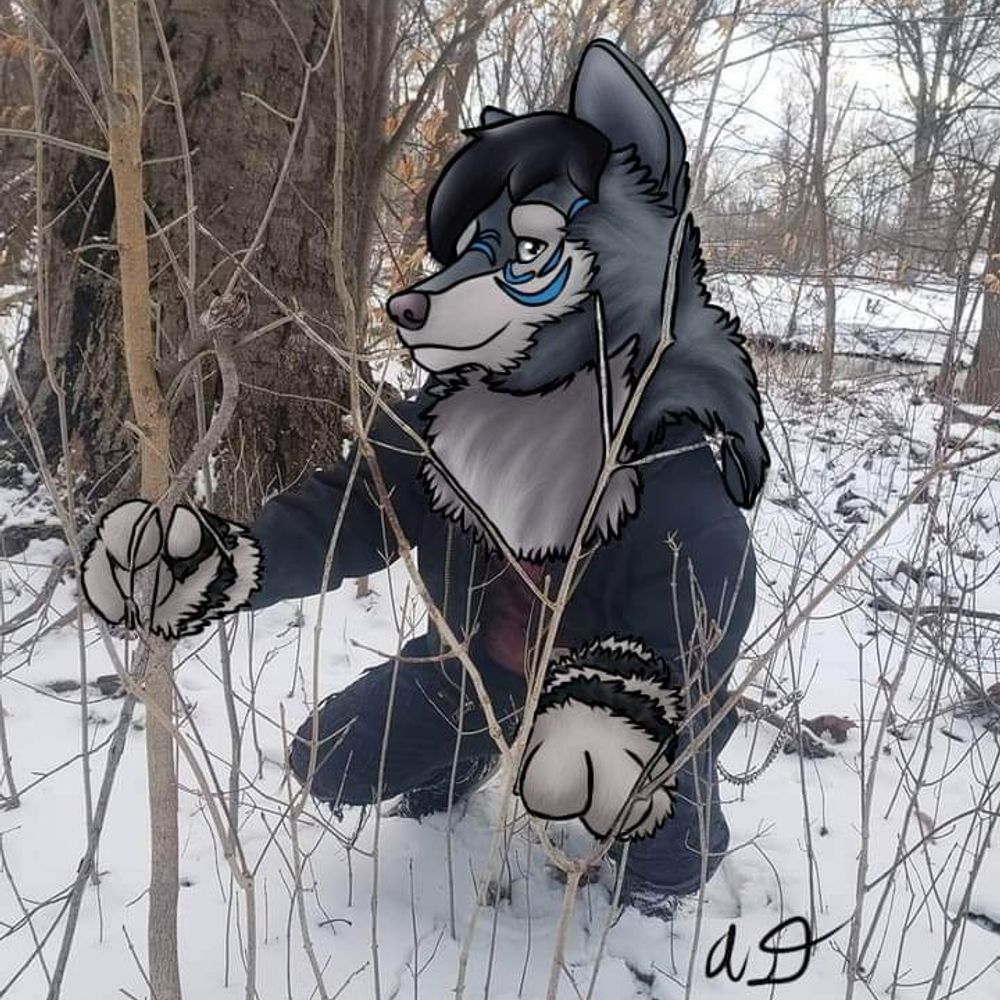 StarryHuskyWolf🔞🔞🔞🔞AD