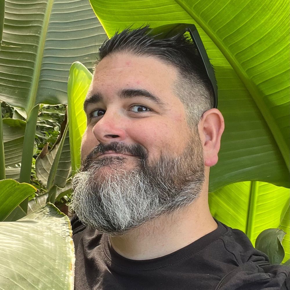 David Borrallo