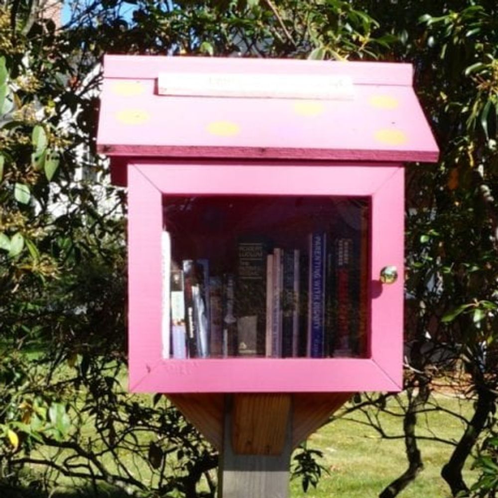 Natasha Lyonne's Little Free Library