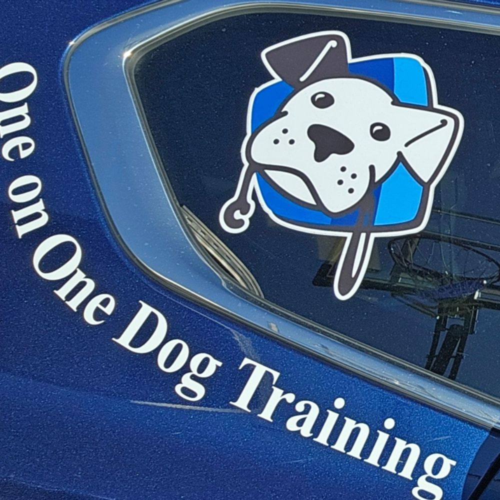 One On One Dog Training 