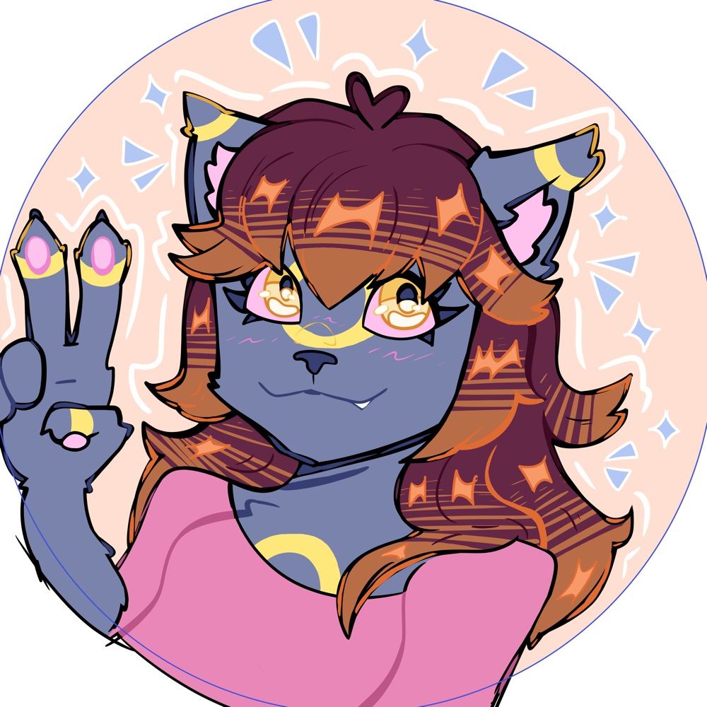 kittybrain | dm for video editing
