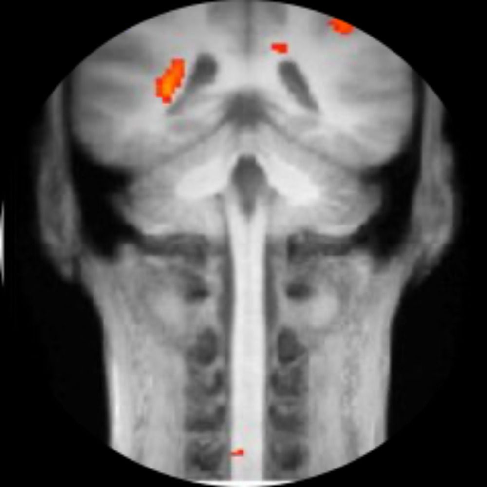 ISNlab