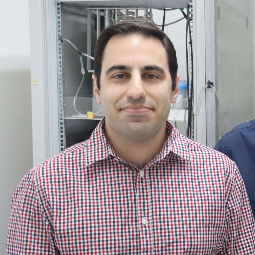 Eyal Rozenfeld