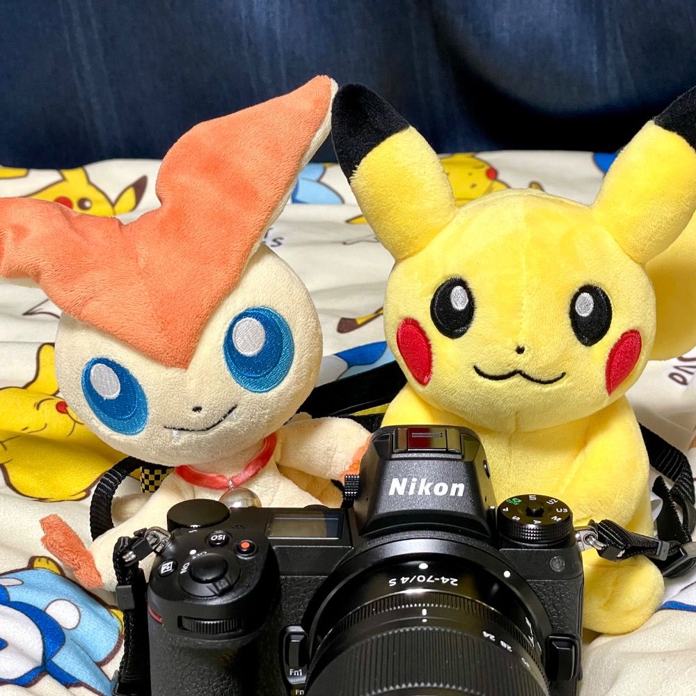 だい ほっしー⭐️