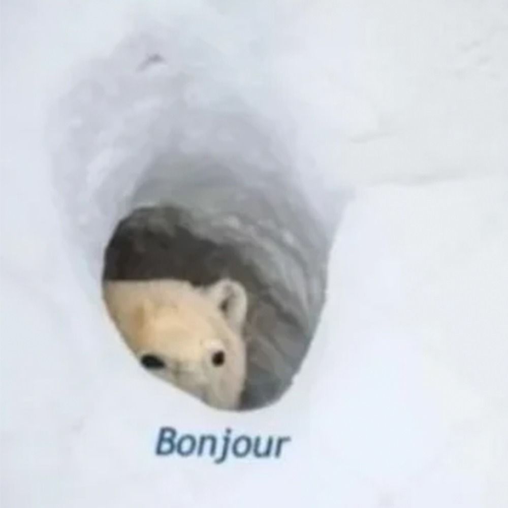 レオ🇫🇷