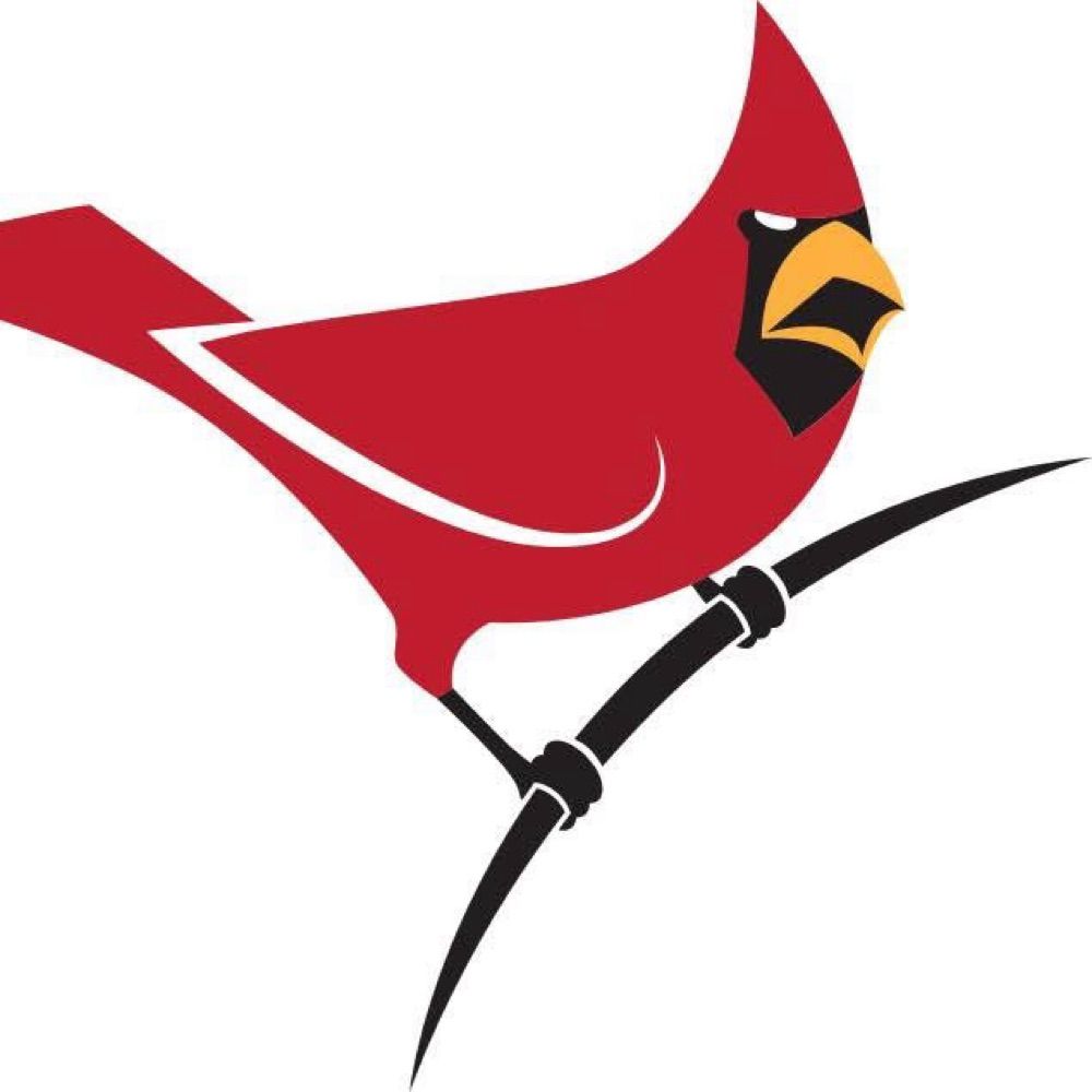Fierce Little Bird Productions